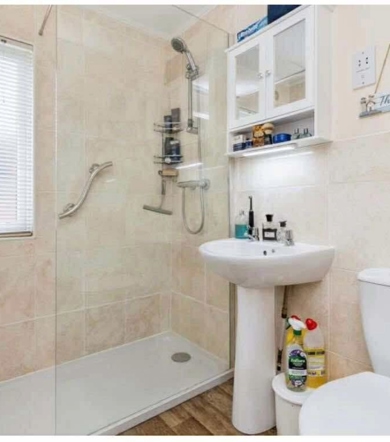 Tingdene Special, bathroom at Devon Hills