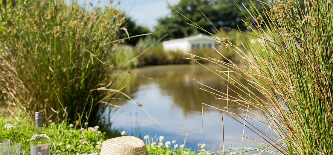 Overlooking Pond at Dartmoor View