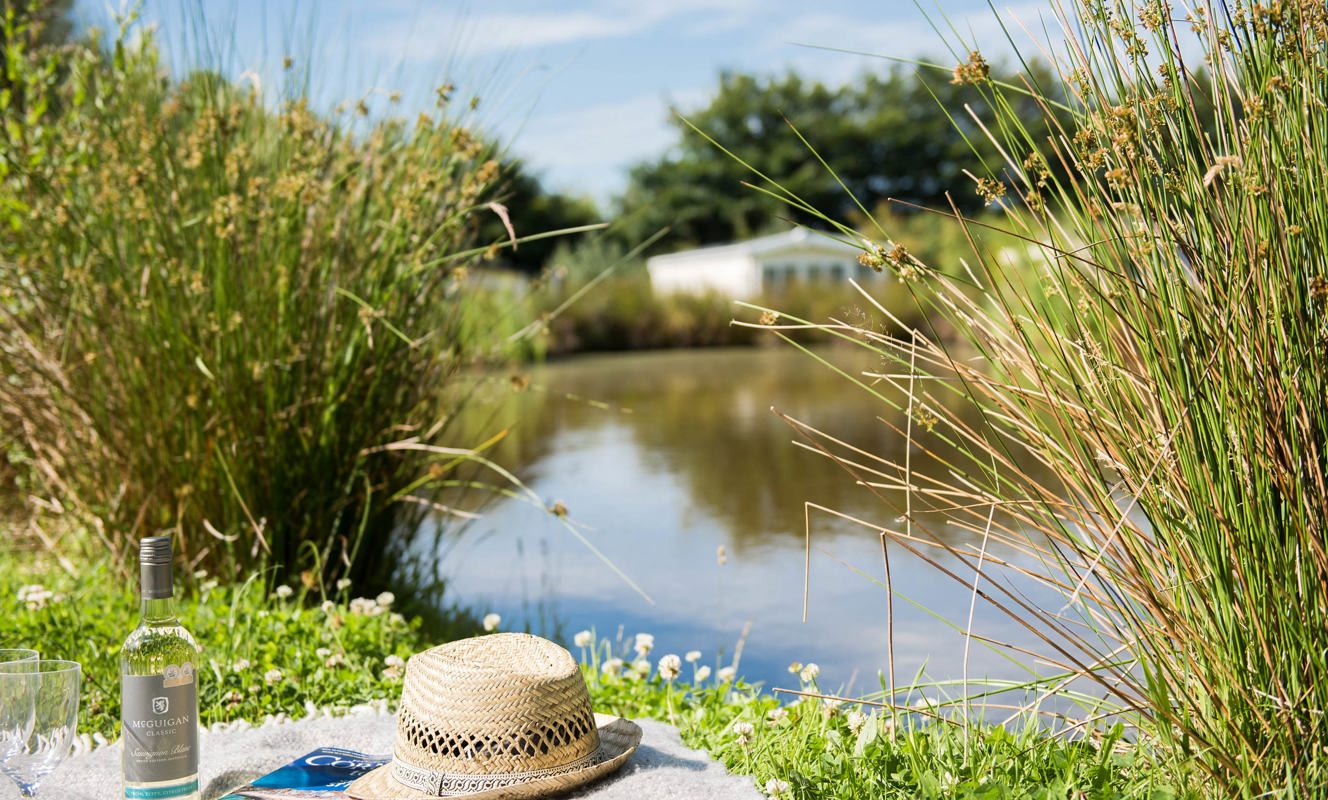 Overlooking Pond at Dartmoor View