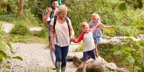 Dartmoor View Local Area Family Hiking By River