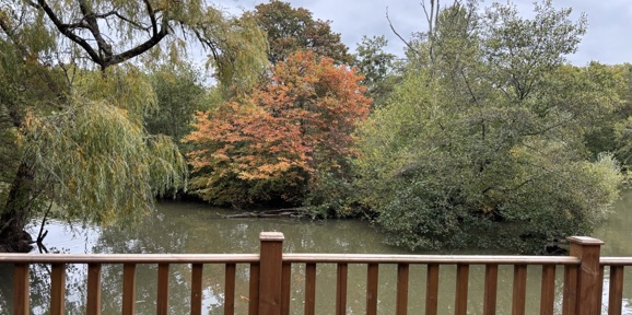 Wessex Contemporary, lake view at Brokerswood