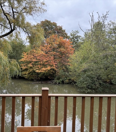 Wessex Contemporary, lake view at Brokerswood