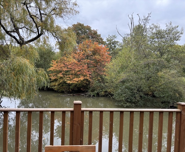 Wessex Contemporary, lake view at Brokerswood