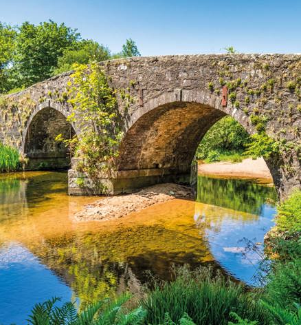 Dartmoor View Local Area West Dart River Dartmoor