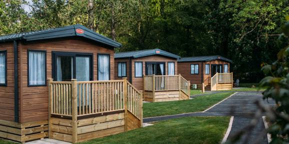 BW Chestnut Close Lodges In Trees