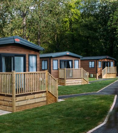 BW Chestnut Close Lodges In Trees