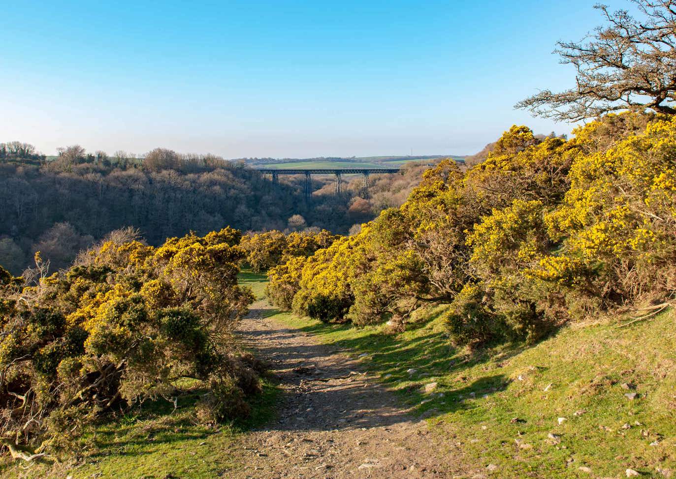 Dartmoor View Local Area Granite Way
