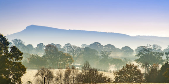 Delamere Local Area Frost On A Cheshire Landscape