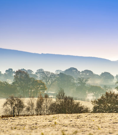 Delamere Local Area Frost On A Cheshire Landscape