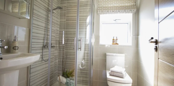 Oakgrove Clarendon, bathroom with shower at Finlake