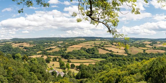 Holmans Wood Local Area Canonteign Falls Overlooking Teign Valley