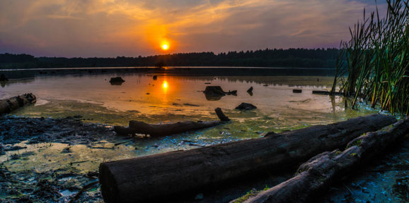 Delamere Local Area Delamere Forest Sunset