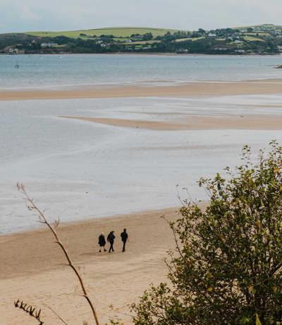 The Warren Beach View