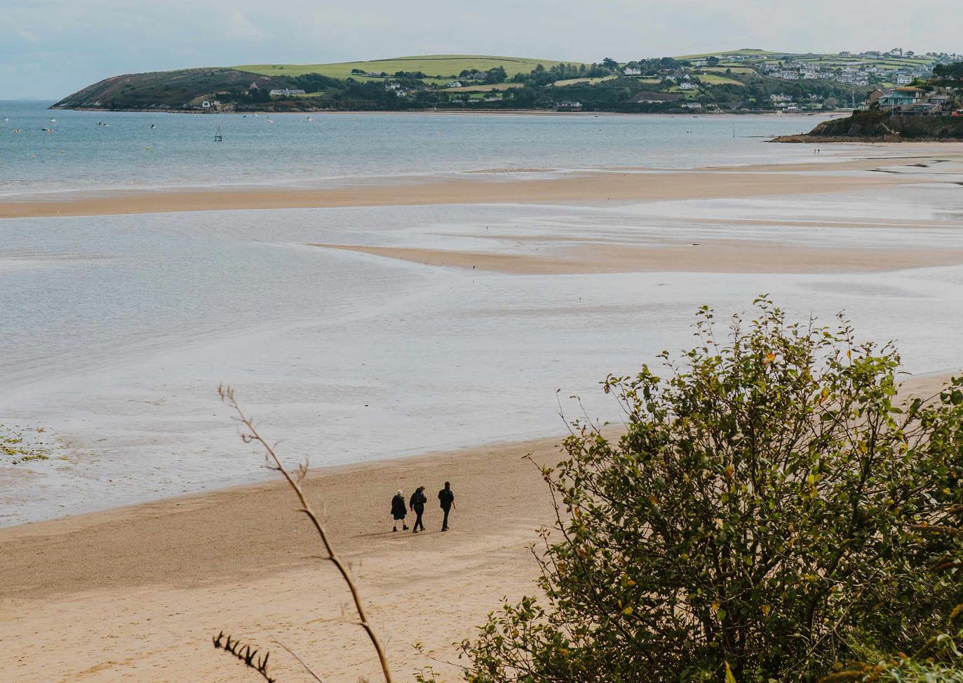The Warren Beach View