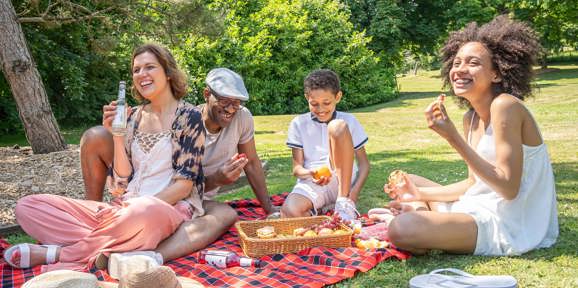 Dartmoor View  Family Picnic