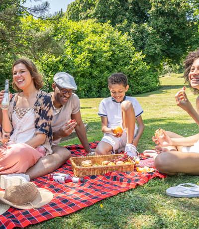 Dartmoor View  Family Picnic
