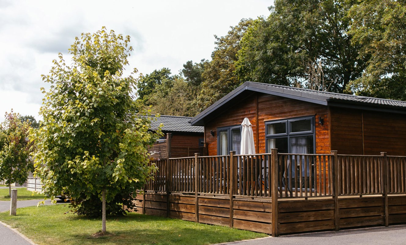 Brokerswood Lodge And Trees
