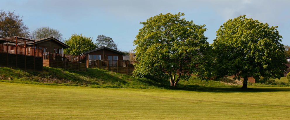 Devon Hills Landscape Lodges With Green Field