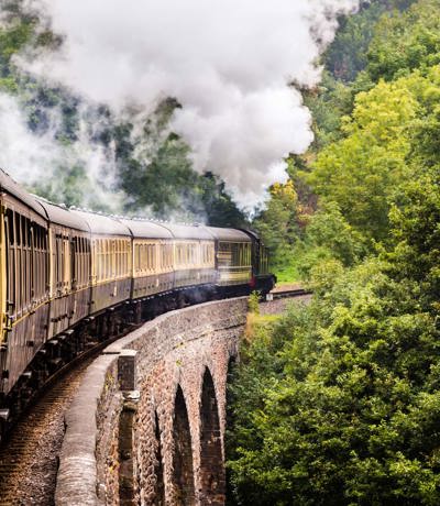 Steam train traveling across a stone viaduct surrounded by lush green trees, with smoke billowing from its engine