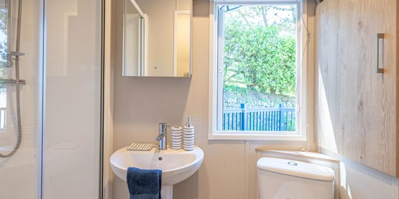 Carnaby Ashdale, bathroom at Praa Sands
