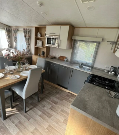 Carnaby Silverdale, kitchen at Talyfan
