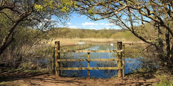 Dartmoor View Local Area Dawlish Warren Nature Reserve
