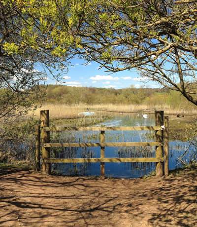 Dartmoor View Local Area Dawlish Warren Nature Reserve