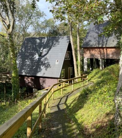 2 & 3 Bedroom A Frame, Outside Path at Finlake