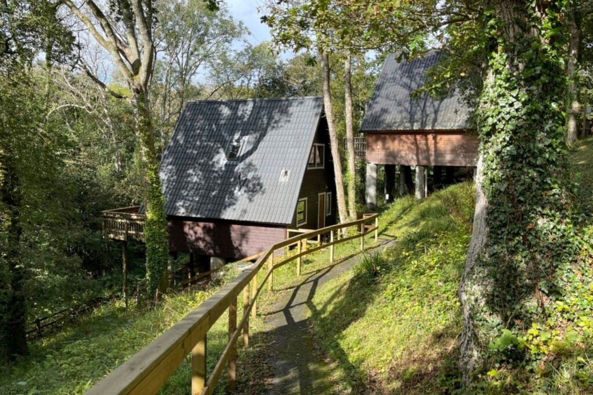 2 & 3 Bedroom A Frame, Outside Path at Finlake