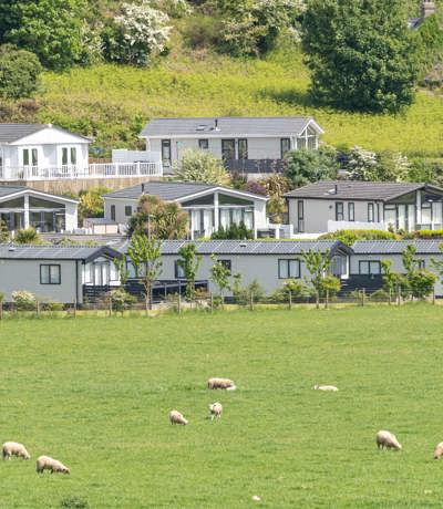 Tal Y Lodges In The Hills And Sheep In The Fields