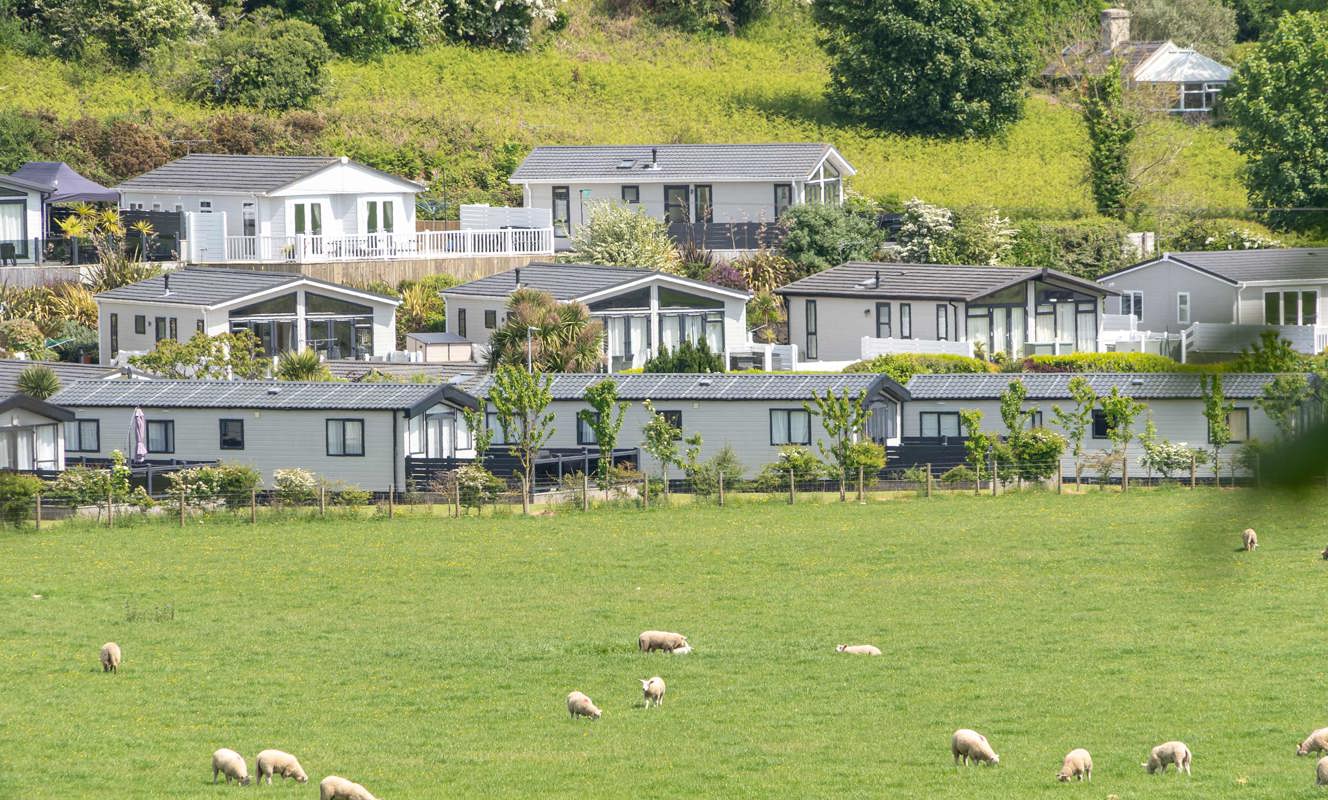 Tal Y Lodges In The Hills And Sheep In The Fields