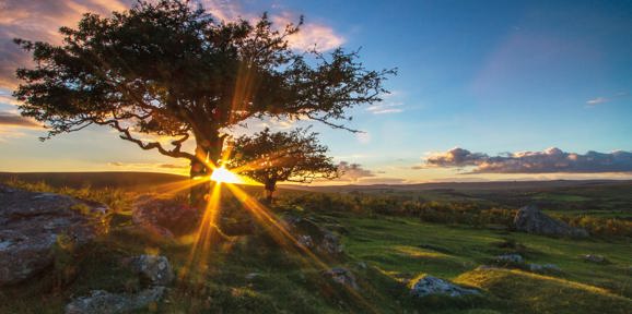 Dartmoor View Local Area Sunset On Dartmoor