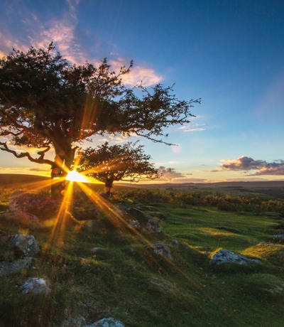 Dartmoor View Local Area Sunset On Dartmoor