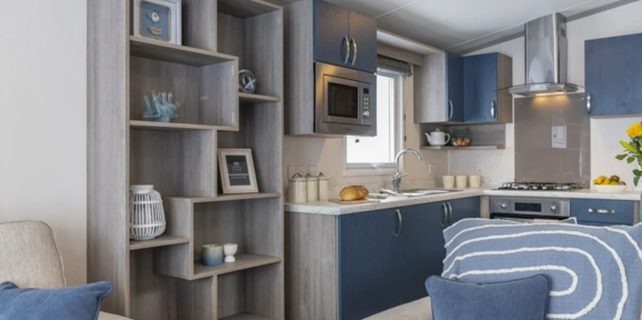 Regal Retreat, shelving in living room at Finlake