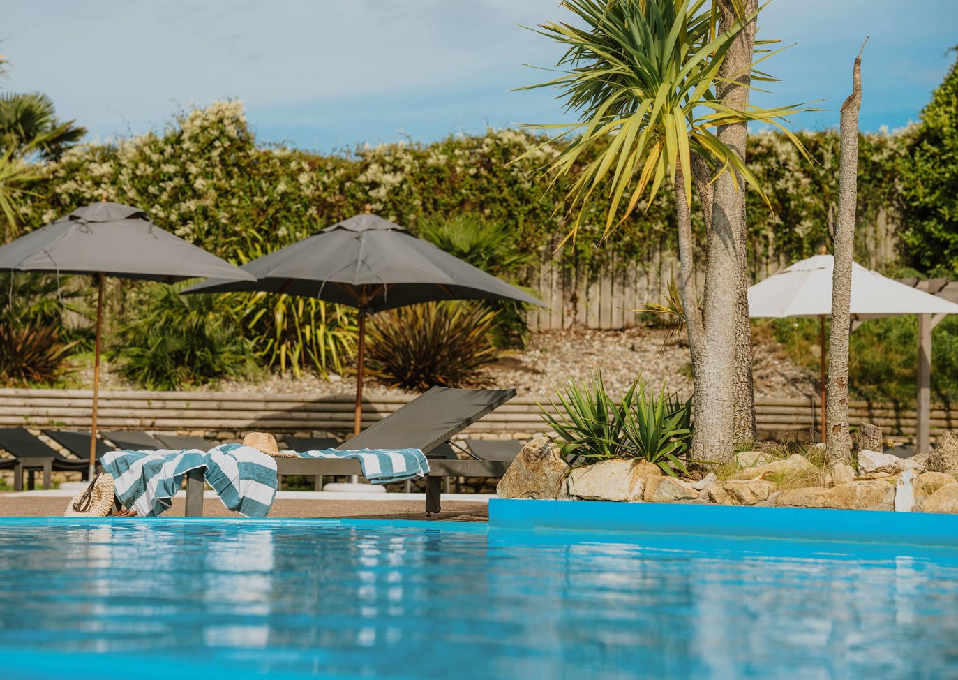 The Warren Pool And Palm Trees