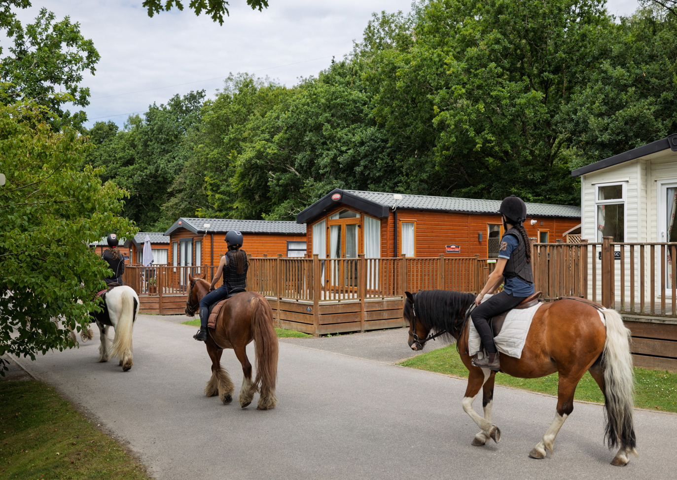 Finlake horses