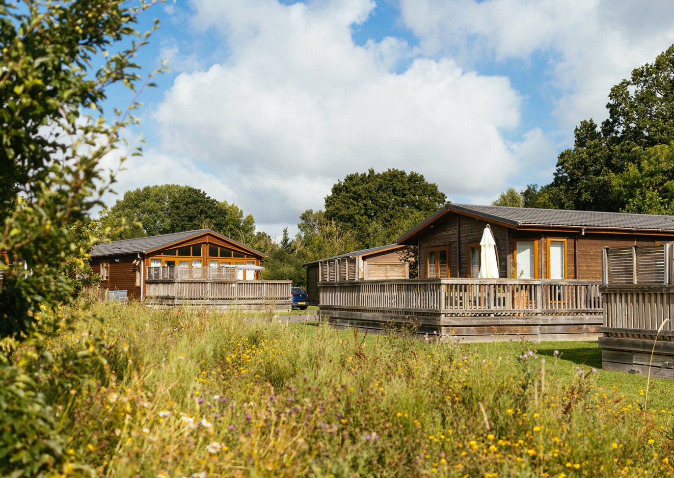 Brokerswood Lodge In Spring Flowers