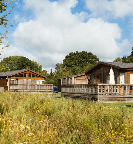 Brokerswood Lodge In Spring Flowers