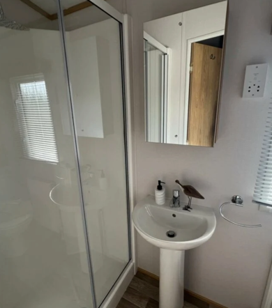 Carnaby Silverdale, bathroom at Talyfan