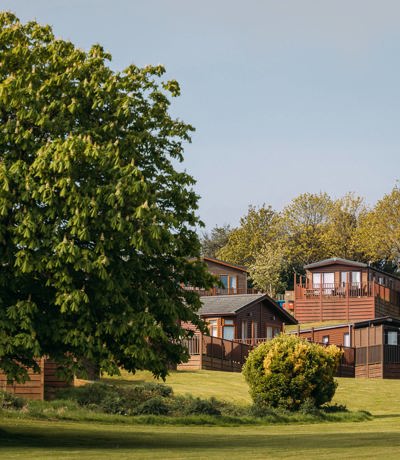 Devon Hills Landscape