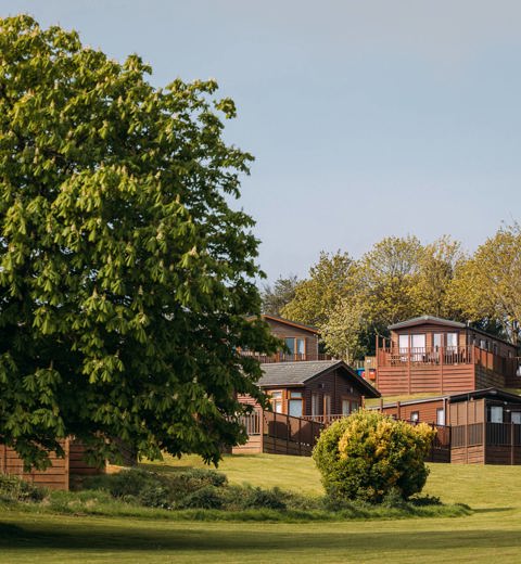Devon Hills Landscape