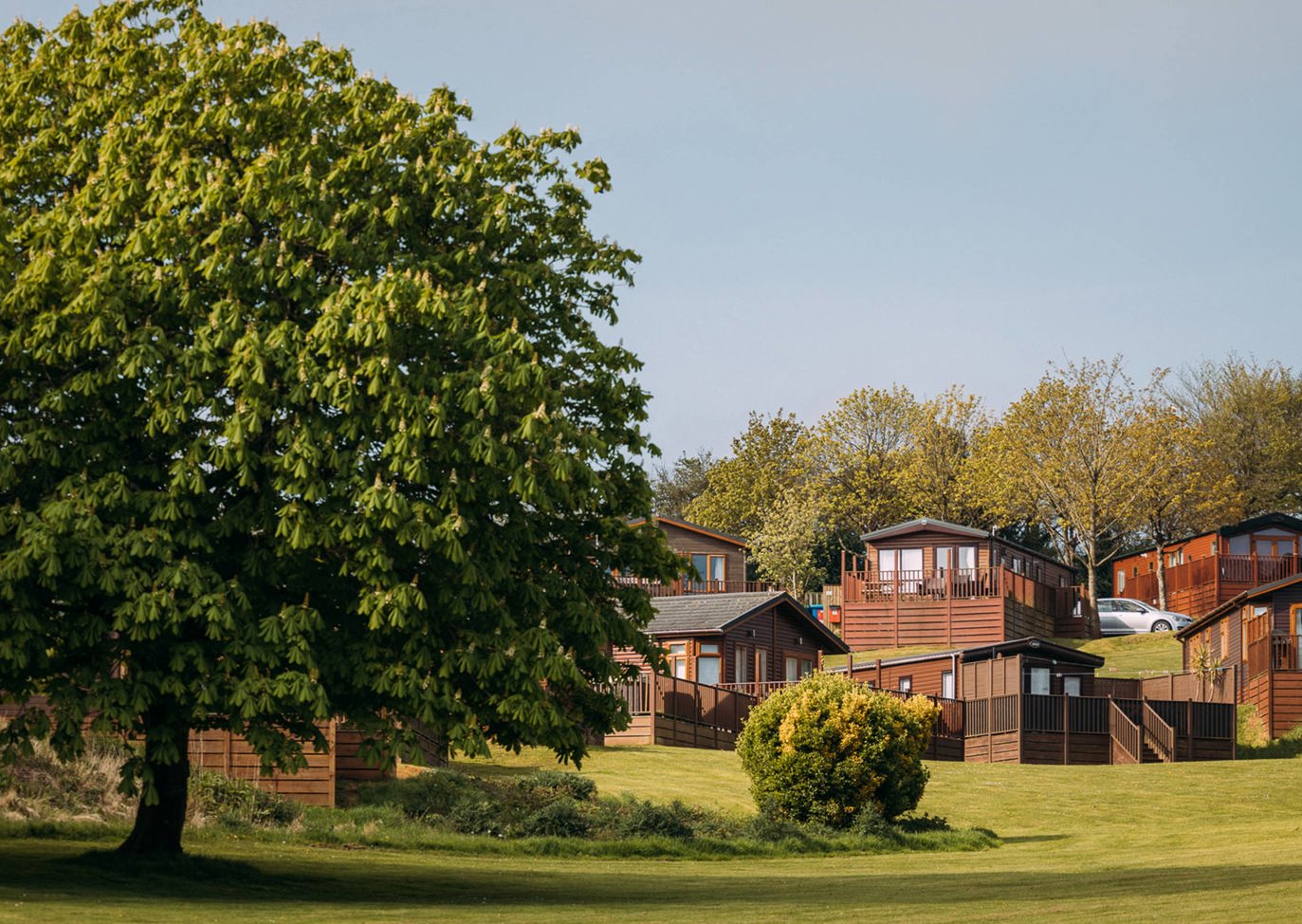 Devon Hills Landscape
