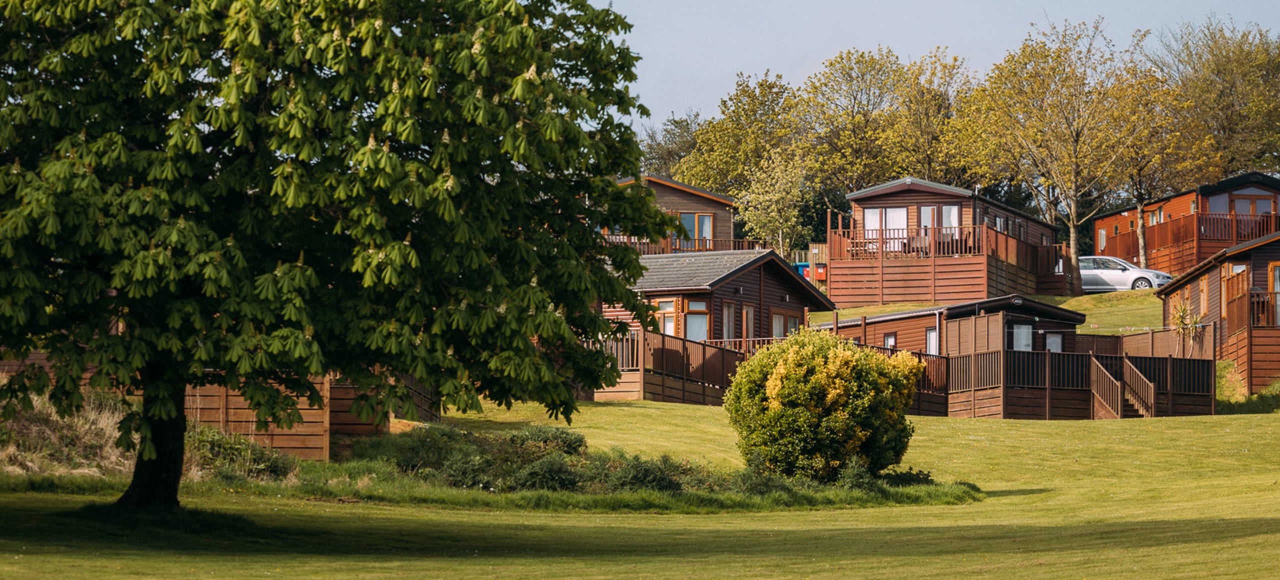 Devon Hills Landscape