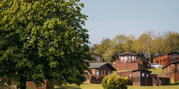 Devon Hills Landscape
