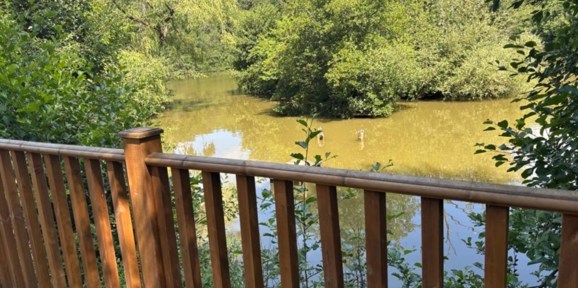 Wessex Classic, lake view at Brokerswood