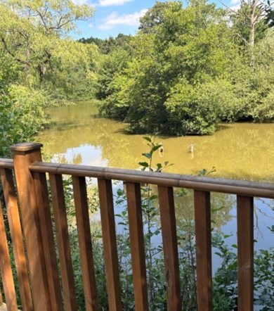 Wessex Classic, lake view at Brokerswood