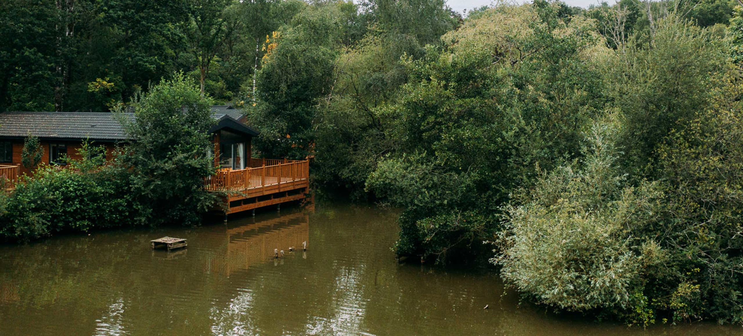 Brokerswood Peaceful Lodge