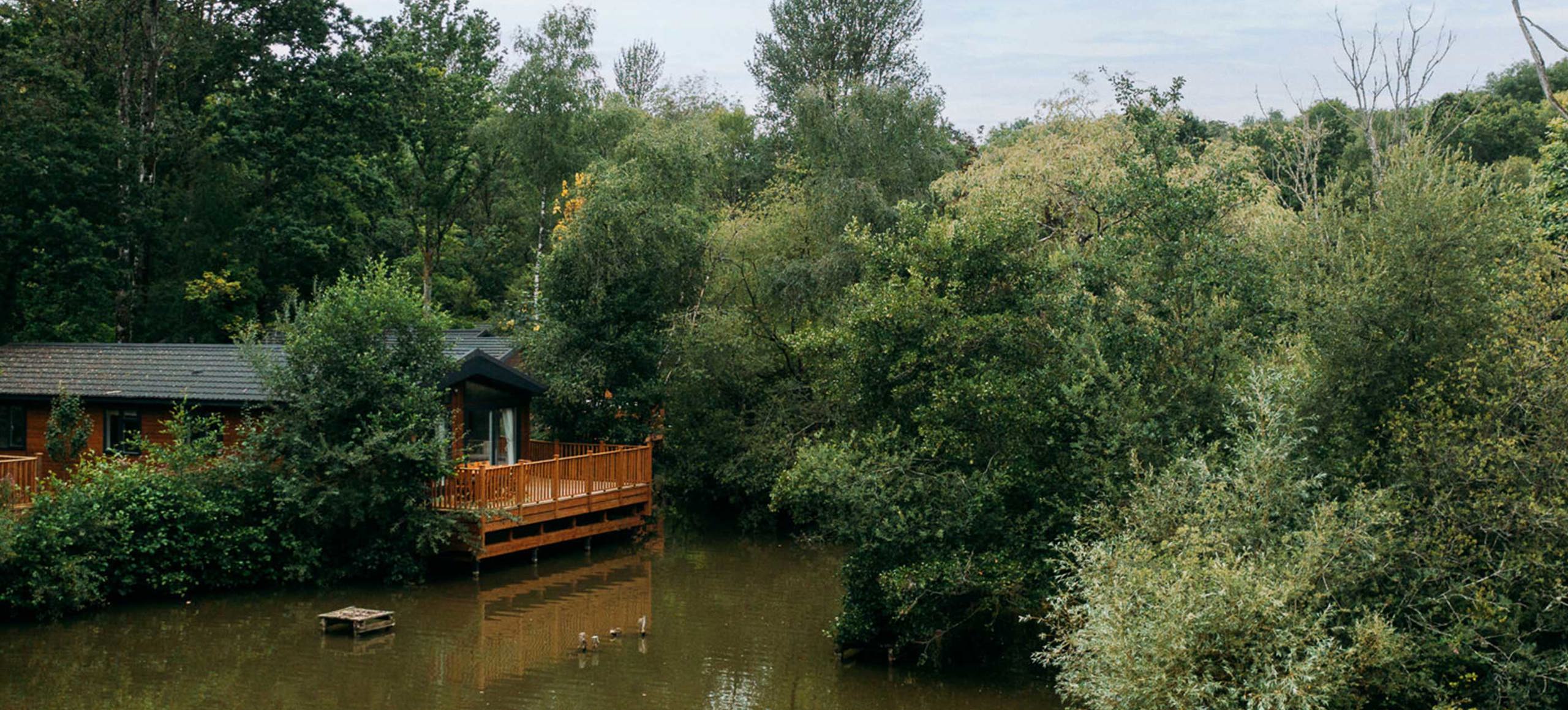 Brokerswood Peaceful Lodge
