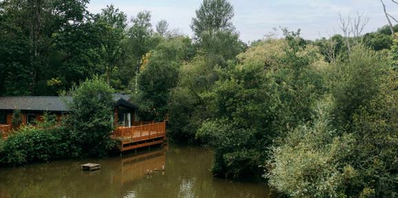 Brokerswood Peaceful Lodge