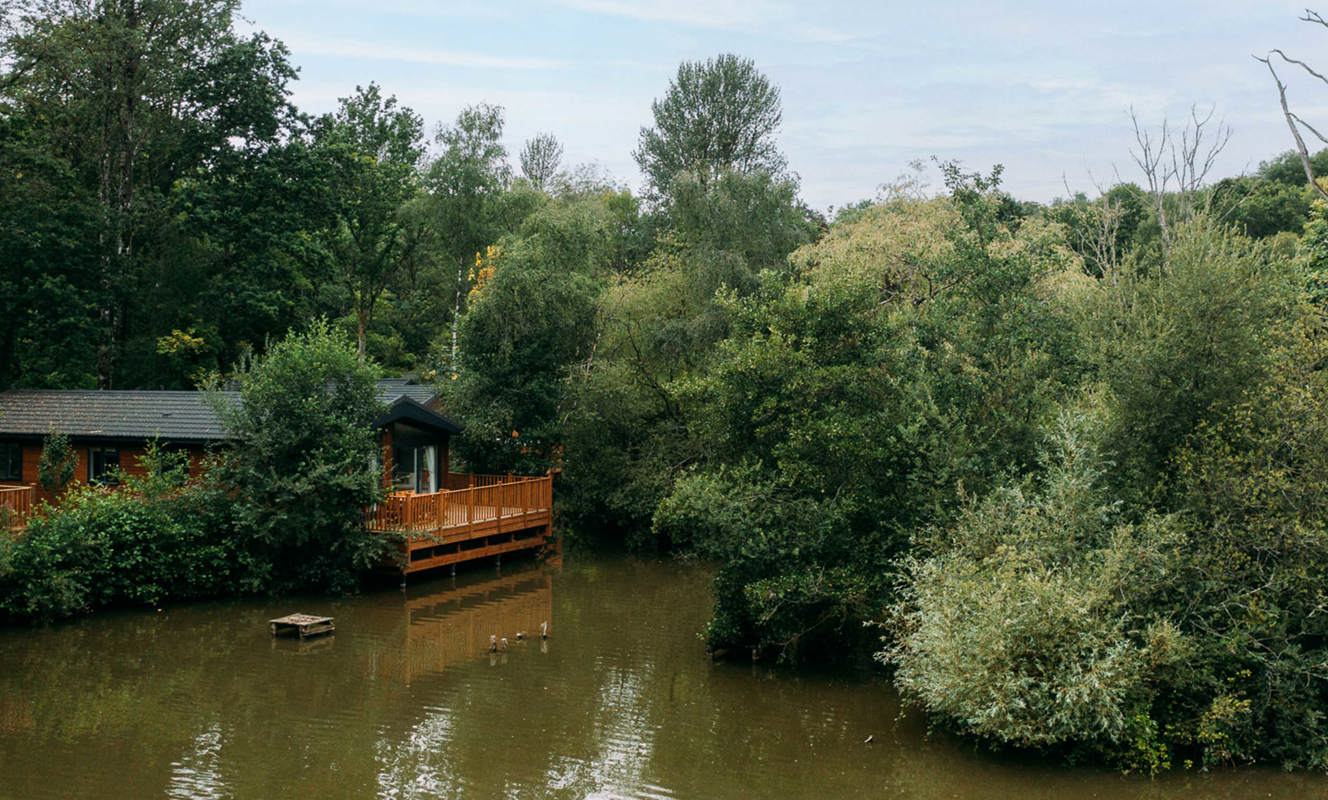 Brokerswood Peaceful Lodge